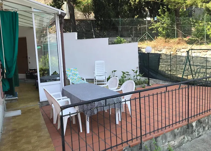 The Citrus House *